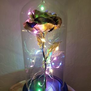 Gold plated galaxy rose led glass dome ✨